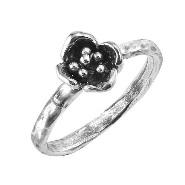 Bague en argent MVR1514