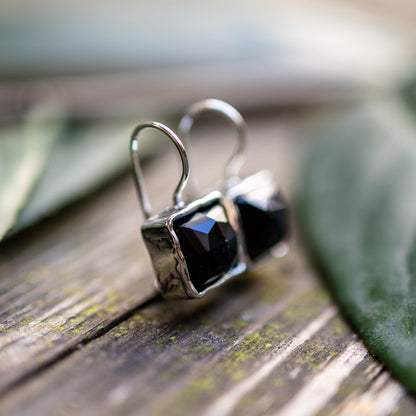 Silver earrings with onyx 01E156ON